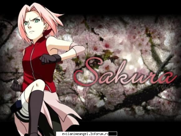 sakura