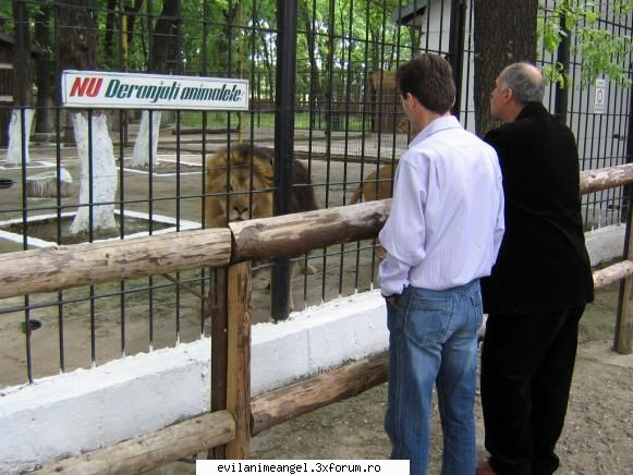 braila/ orasul meu 7.. gradina zoo noi