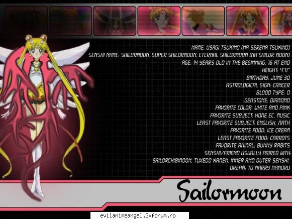 10.sailor moon sailor moon