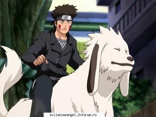 kiba kiba akamaru