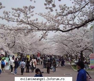 japonia sunt fost,dar intr-o buna tot voi ajunge acolo.ma fascineaza faptul limba acelea sunt mai