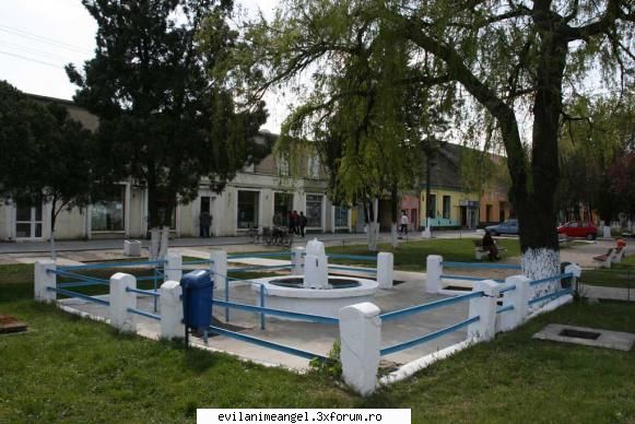 chisineu-cris/orasul meu - fantana publica din oras, mai sunt mai multe dar - Cafenea/Sedinte.