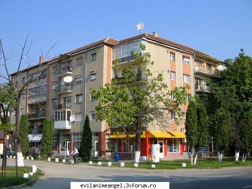 chisineu-cris/orasul meu - centrul orasului, aici am stat eu candva la - Cafenea/Sedinte.