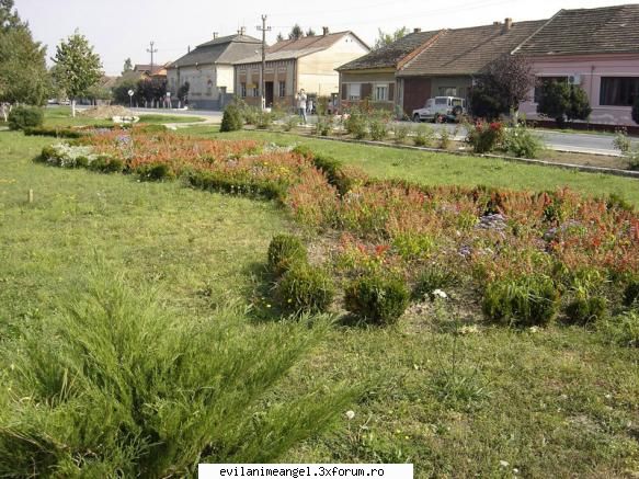 chisineu-cris/orasul meu - parcul din fata primariei - Cafenea/Sedinte.