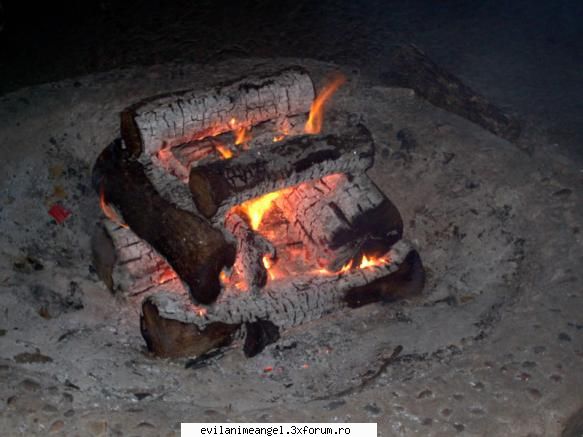 foc - a5 ca si pasarea phoniex - Foc:$Inger