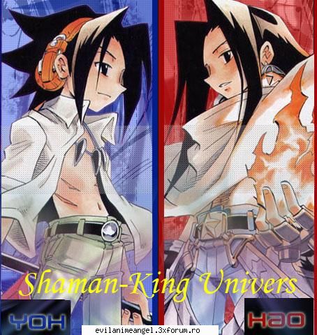 hao - dusmania dintre ei a apraut inca de la nastere - Shaman king