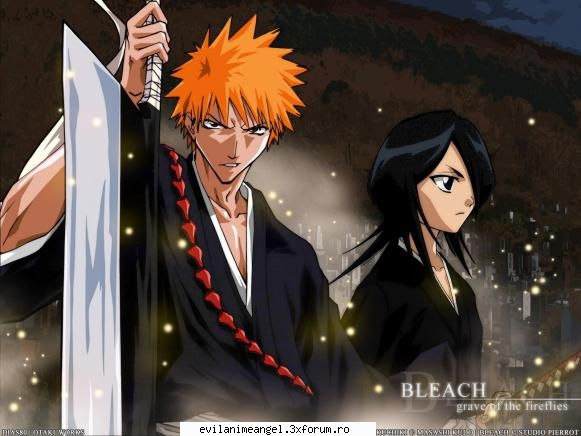 ichigo - aparatorii. (si cea mai buna echipa din cate - Bleach