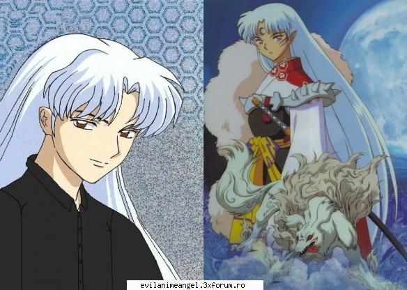 sesshomaru in forma umana si cu puteri identitati