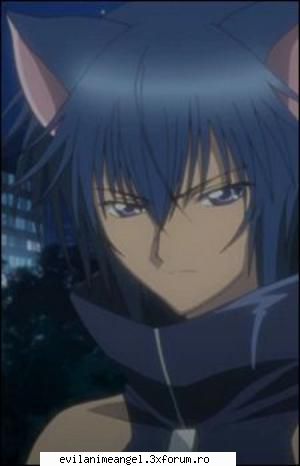 ikuto - Ran - Shugo Chara