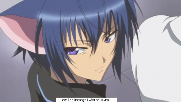 ikuto - Ran - Shugo Chara