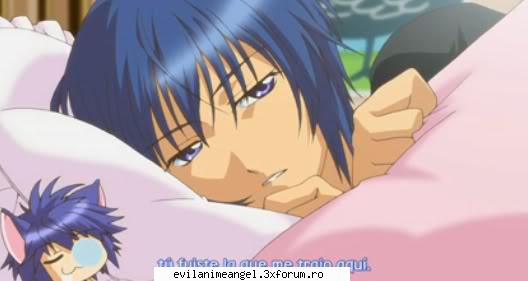 ikuto - Ran - Shugo Chara