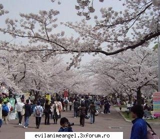 japonia - sunt invidioasa,mika.eu nu am fost,dar intr-o - Japonia/Coreea/China.