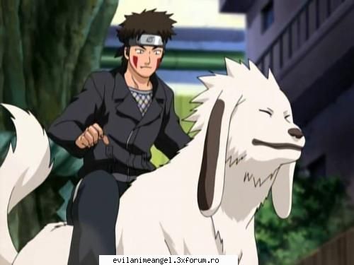 kiba - kiba si akamaru - Naruto