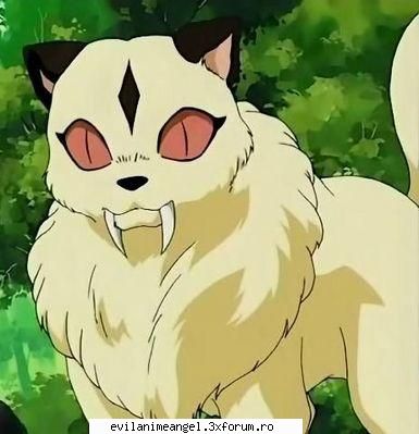 kirara - cea mai dragutza pisik - Inuyasha