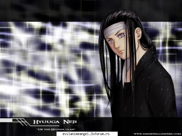 neiji hyuga - destept, frumos, puternic, dornic de a invata - Naruto