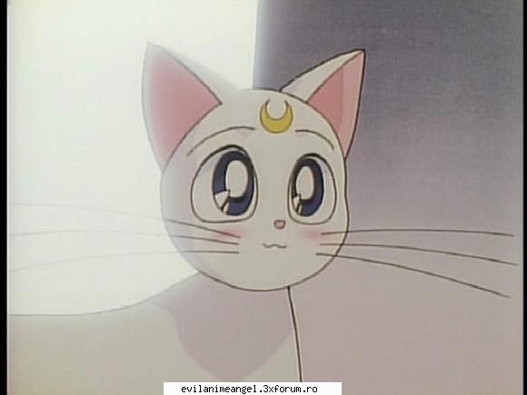 pisicile lunare artemis & luna - mie una imi place de luna as doari o pisica ca si - Sailor moon
