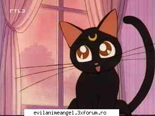 pisicile lunare artemis & luna - Sword Art - Sailor moon