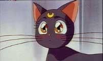 pisicile lunare artemis & luna - Sword Art - Sailor moon