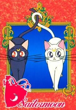 pisicile lunare artemis & luna - Sword Art - Sailor moon