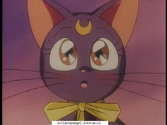 pisicile lunare artemis & luna - asa este is dragute si foarte curajoase mai ales - Sailor moon