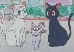 pisicile lunare artemis & luna - artemis, luna si copilul lor - Sailor moon