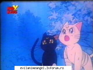 pisicile lunare artemis & luna - luna si artemis - Sailor moon