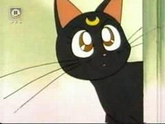 pisicile lunare artemis & luna - Alysu - Sailor moon