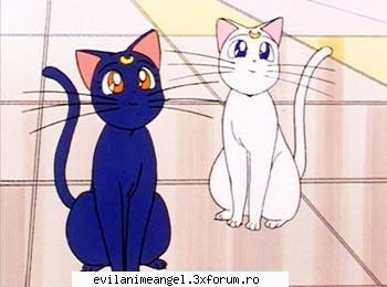 pisicile lunare artemis & luna - artemis si luna - Sailor moon