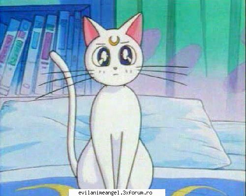 pisicile lunare artemis & luna - Alysu - Sailor moon