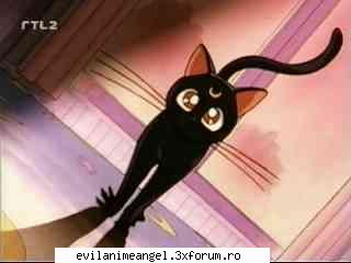 pisicile lunare artemis & luna - este draguta luna - Sailor moon