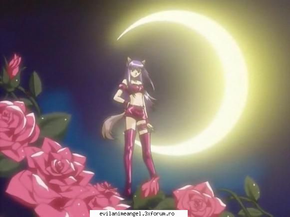renne - Hana-chan - Mew mew power